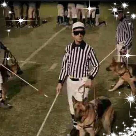 Meet your Posher, Randy - Picture 1 of 1